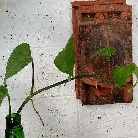 Adams Wood House Ayurveda Homestay Kochi Kültér fotó