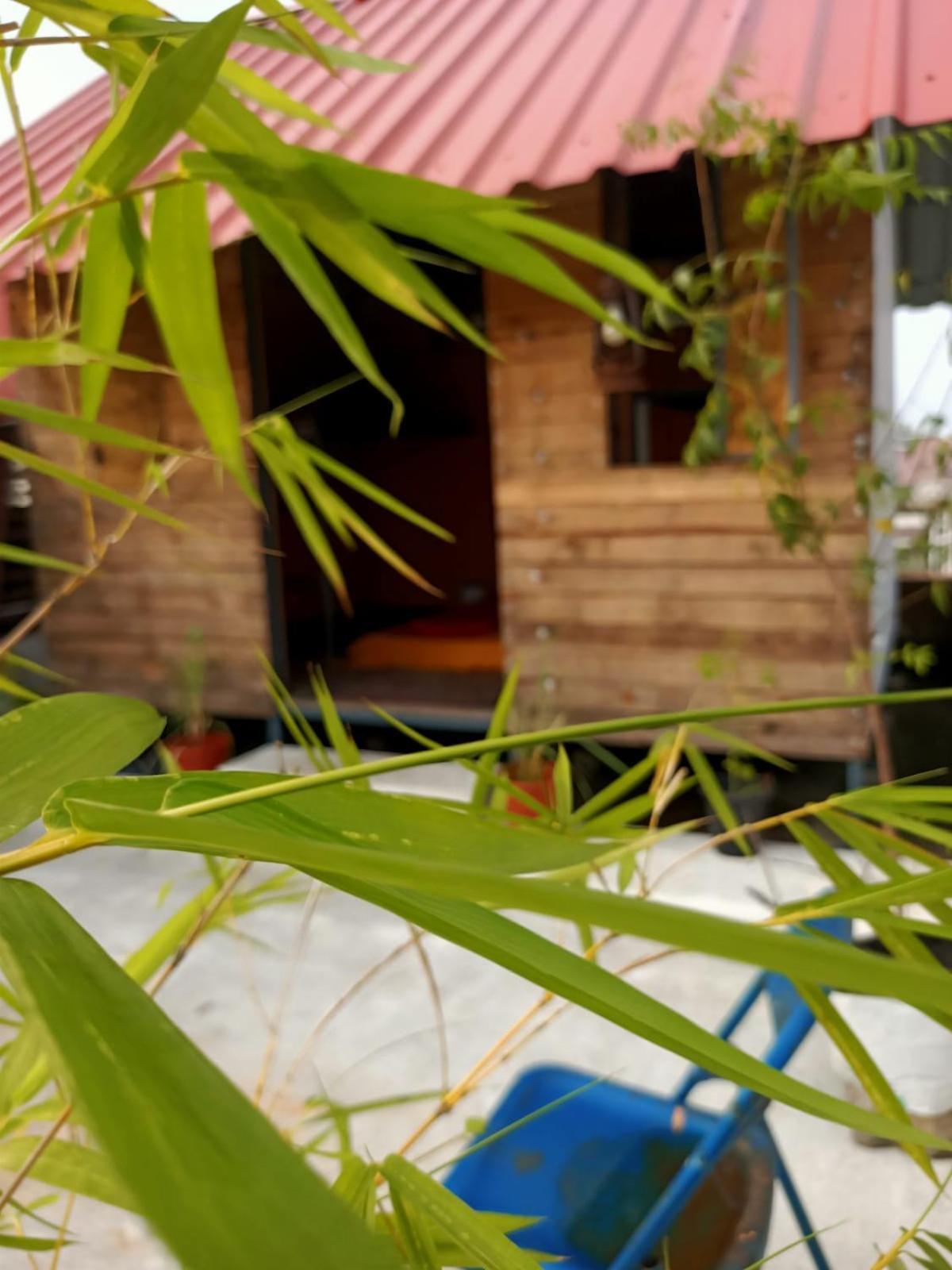 Adams Wood House Ayurveda Homestay Kochi Kültér fotó